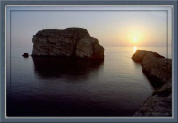 A0070 Fungus Rock,Malta