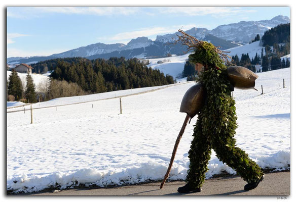 A0848.Silvesterchlausen.Waldstatt