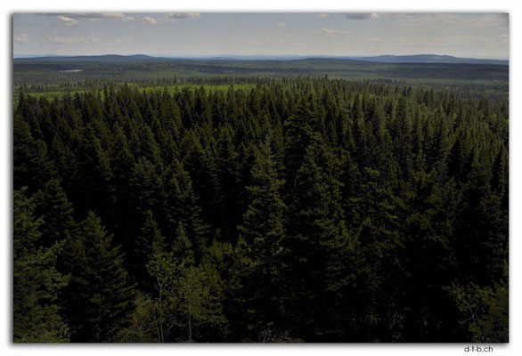 CA0543.View from Mt.Begbie