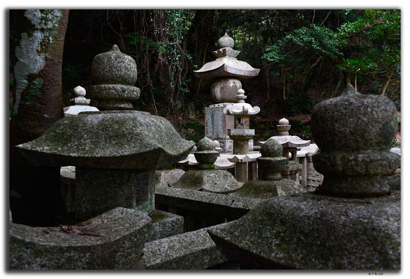 JP0017.Izuhara.Banshoin Temple.alter Friedhof