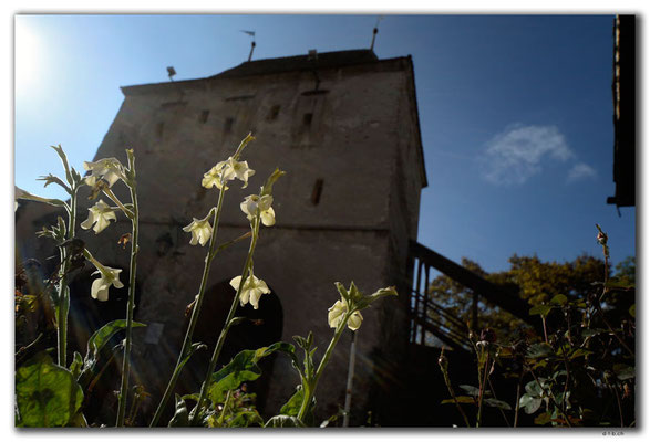RO0079.Sighișoara