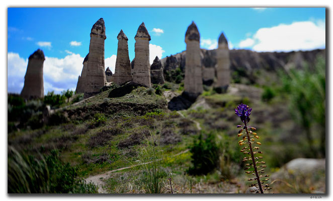 TR0873.Göreme.Love Valley