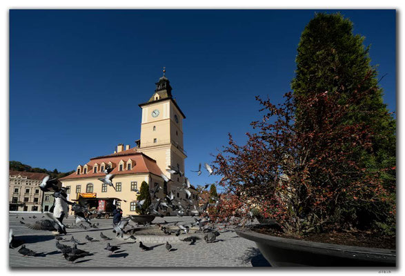 RO0105.Brasov.Stadthaus