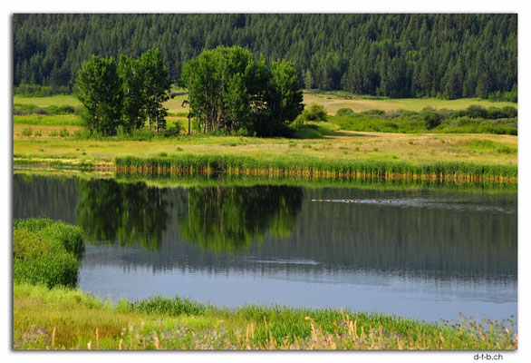 CA0546.Nameless lake