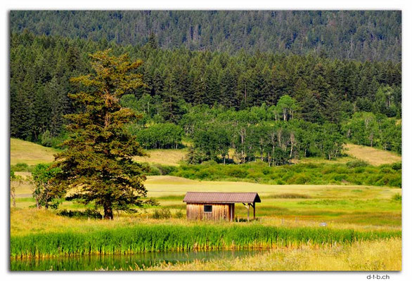 CA0545.Nameless lake