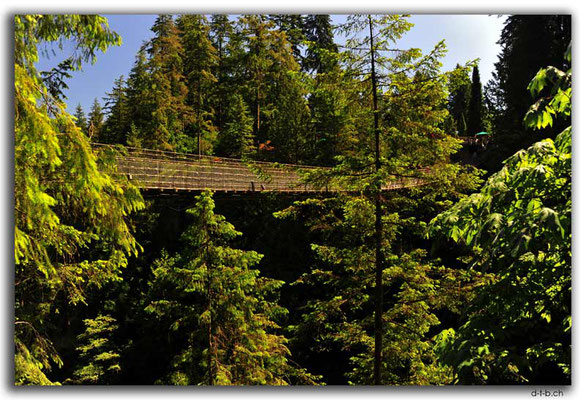 CA0512.Vancouver.Capilano Suspension Bridge