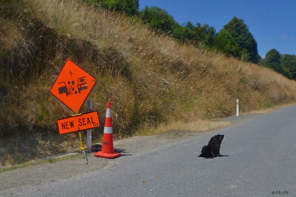 NZ.Staging-Post.New-Seal
