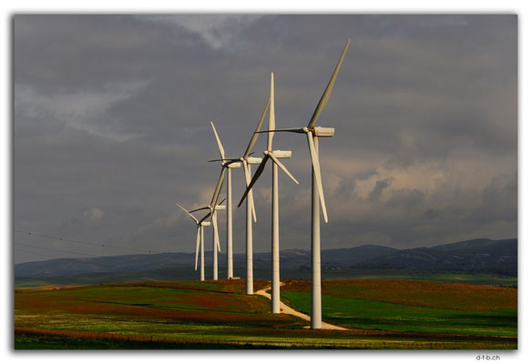 ES0060.Wind turbines