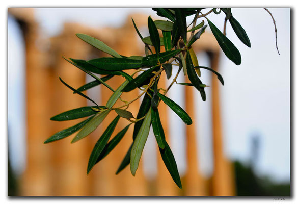 GR0405.Athen.Zeustempel