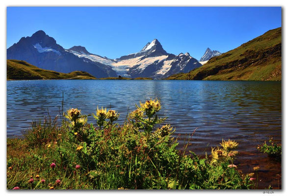 GW0360.Bachalpsee