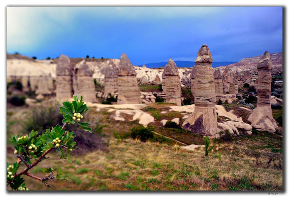 TR0800.Göreme.Görkündere Valley