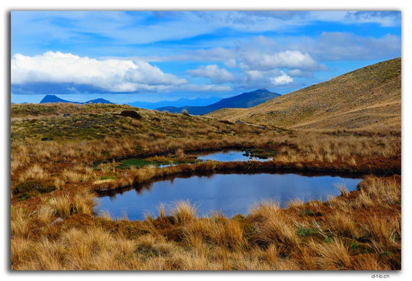 NZ0502.Kahurangi N.P.Tarns at Sylvester Lake
