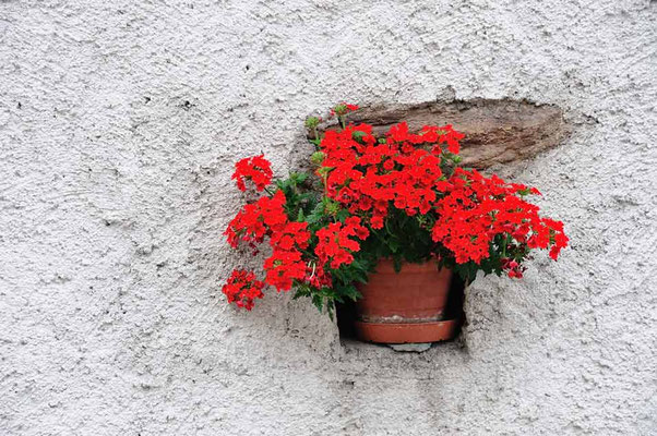 Schweiz,Savognin1