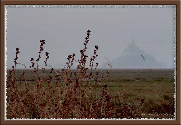 A0131.Mont St.Michel.FR