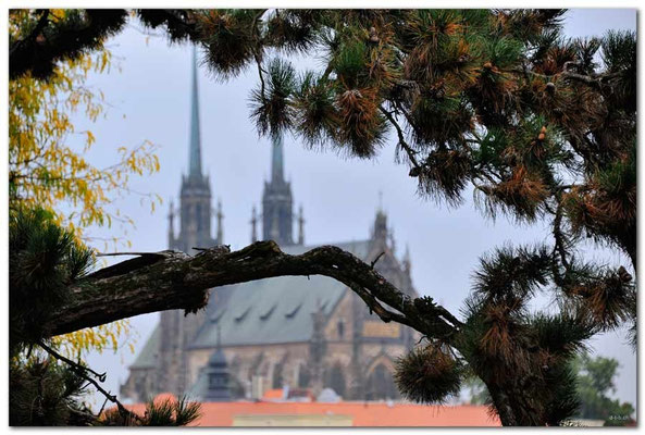 CZ015.Brno.ST.Petrov