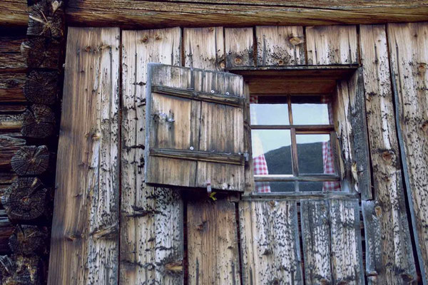 Schweiz,Schlappin1(Klosters)