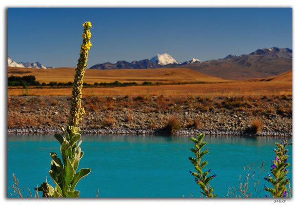 NZ0806.Tekapo Canal.Aoraki.Mount Cook