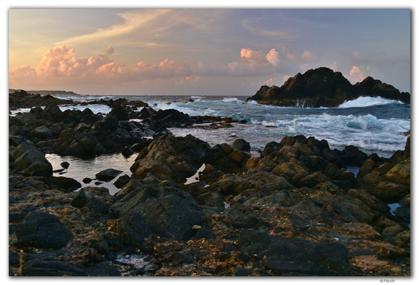 AW0033.Conchi Natural Pool