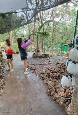 Philippines, Enchanted Cave02