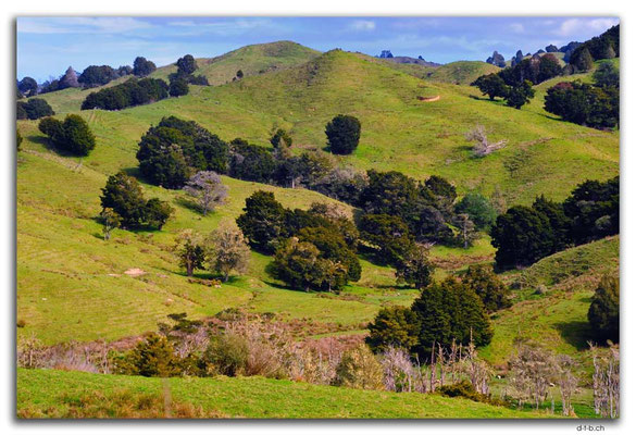 NZ0096.Mohuiti