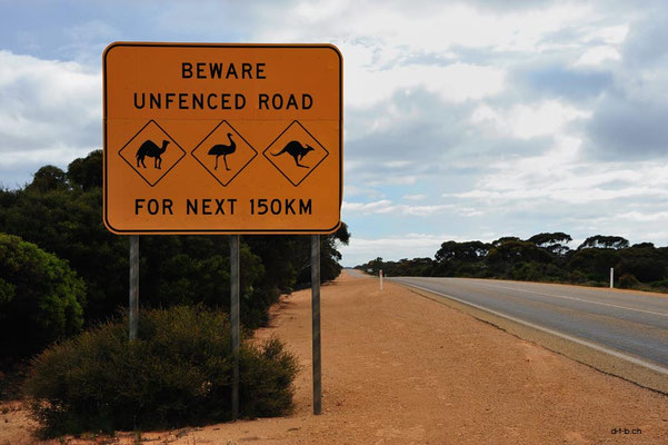 Australien.Unfenced Road1