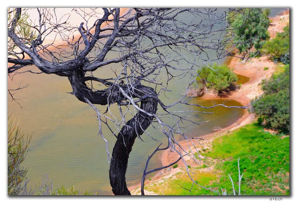 AU0457.Kalbarri N.P.Bends