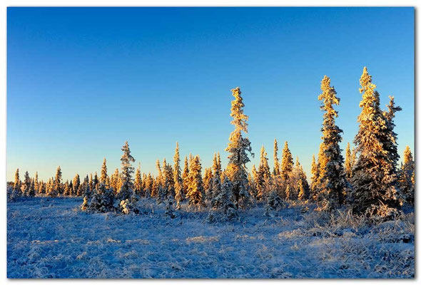 SE0070.Lapland Wilderness