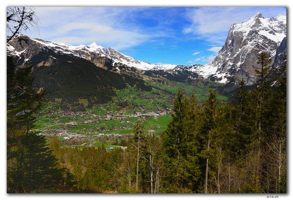 GW0094.Grindelwald