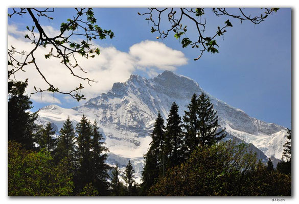 GW0274.Jungfrau