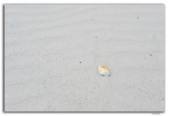NZ0106.Rarawa Beach.White Sand