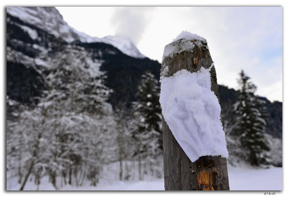 GW0011.Maske und Eiger