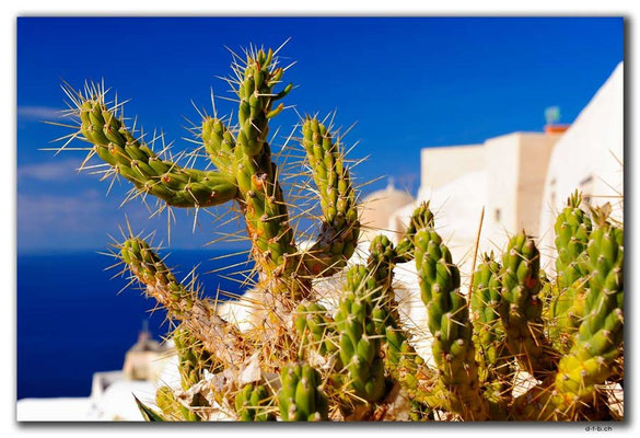 GR0586.Oia