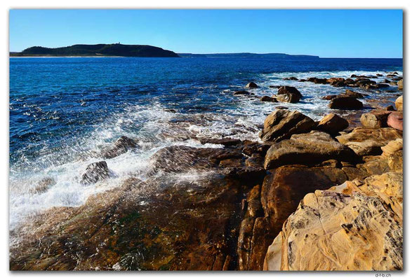AU1696.Sydney.Palm Beach