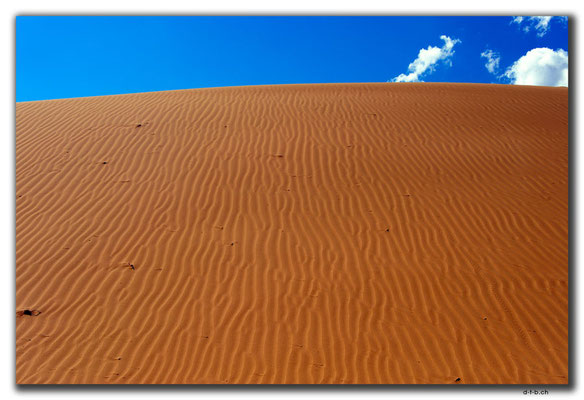MN0045.Elsen Tasarkhai.Sanddüne