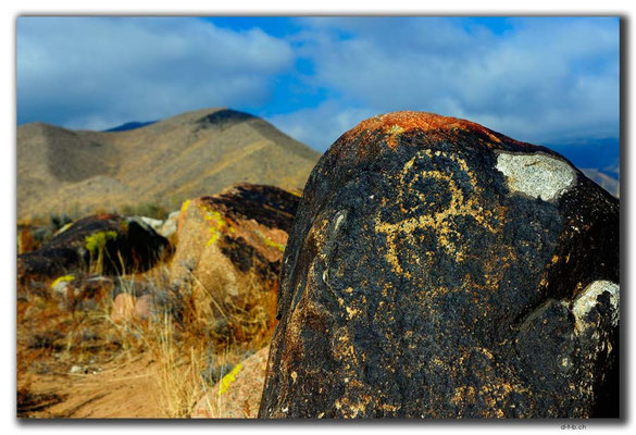 KG0070.Cholpon Ata.Petroglyphen