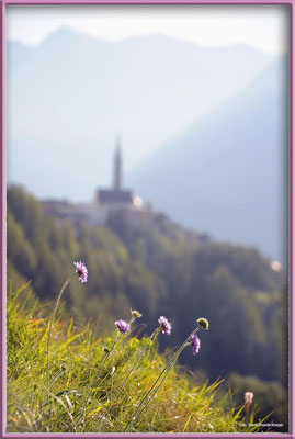 A0406.Sent.CH