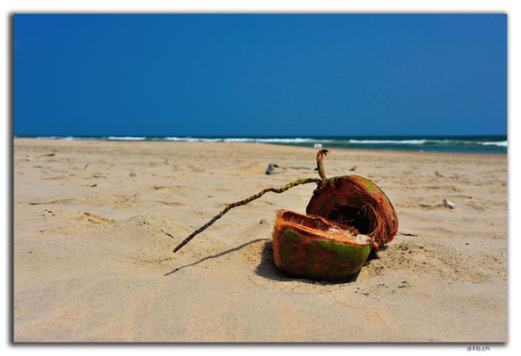 VN0209.Long Co Beach