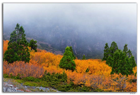 AU1337.Overland Track.Autumn