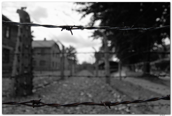 PL025.Auschwitz.Stacheldraht