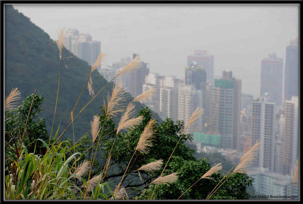 C2714 Hong Kong Victoria Peak
