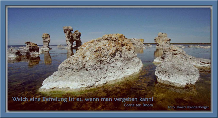 S0075.Rauk.Hund,Gotland,SE.Text: Corrie Ten Boom