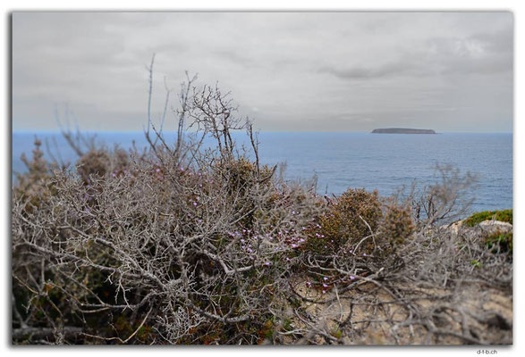 AU1014.Coffin Bay N.P. Point Avoid