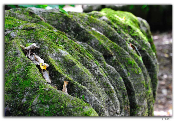 NZ0557.Labyrinth Rocks