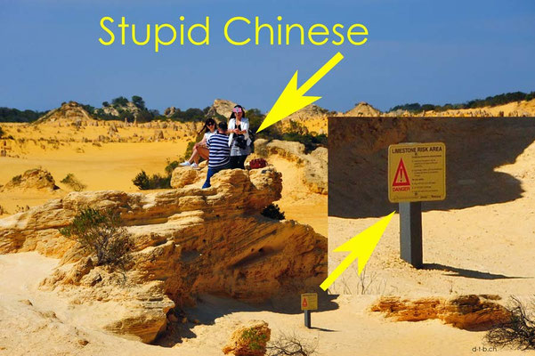 Australien.Pinnacles.Nambung N.P. Stupid Chinese1