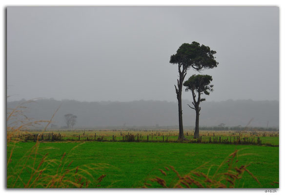 NZ0899.Near Fortrose