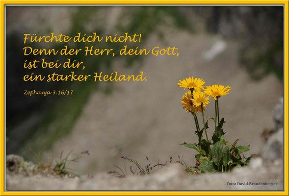 S0110.Scharte.Klosters,CH.Zephania 3.16/17
