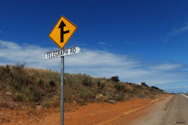 Australien.Esperance.Telegraph-Road