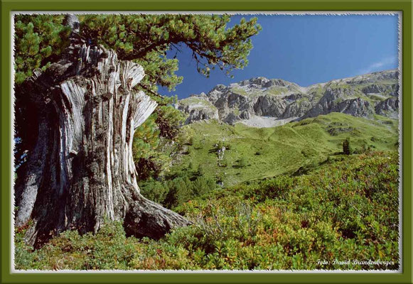 A0196.Casanna.Klosters.CH