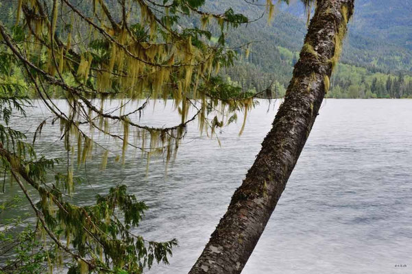 CA0154 Birkenhead lake