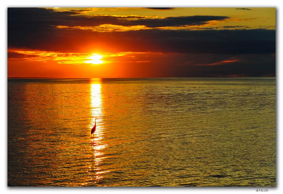 CA1207.Gulf Shore